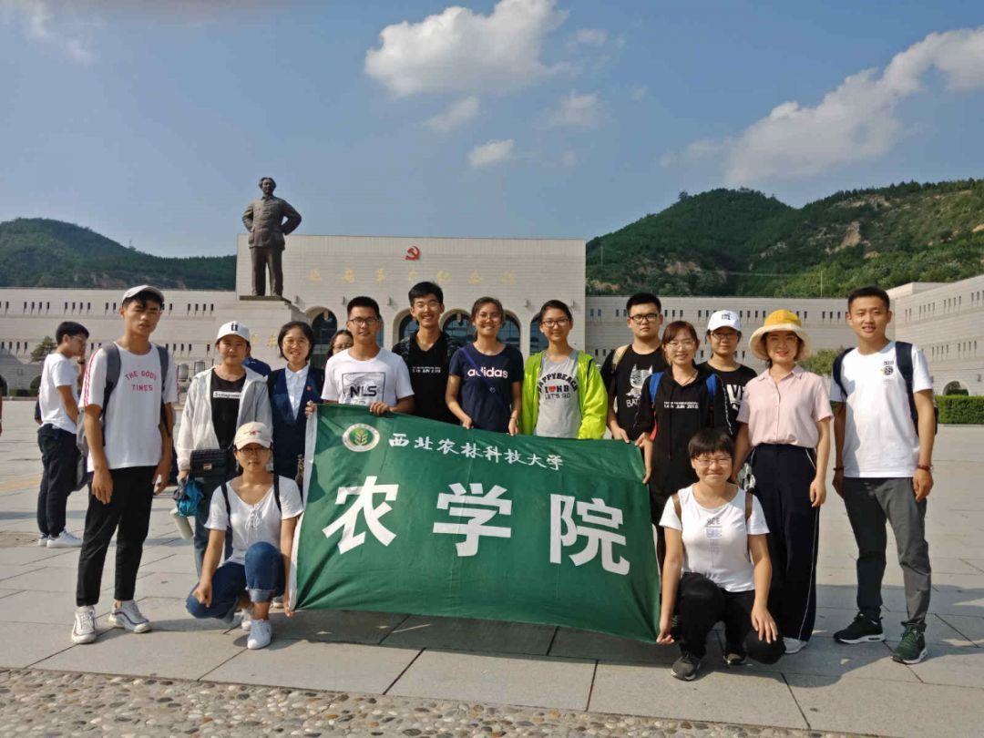 “莉莉公主”玻尿酸：欧洲皇室美学的璀璨明珠
